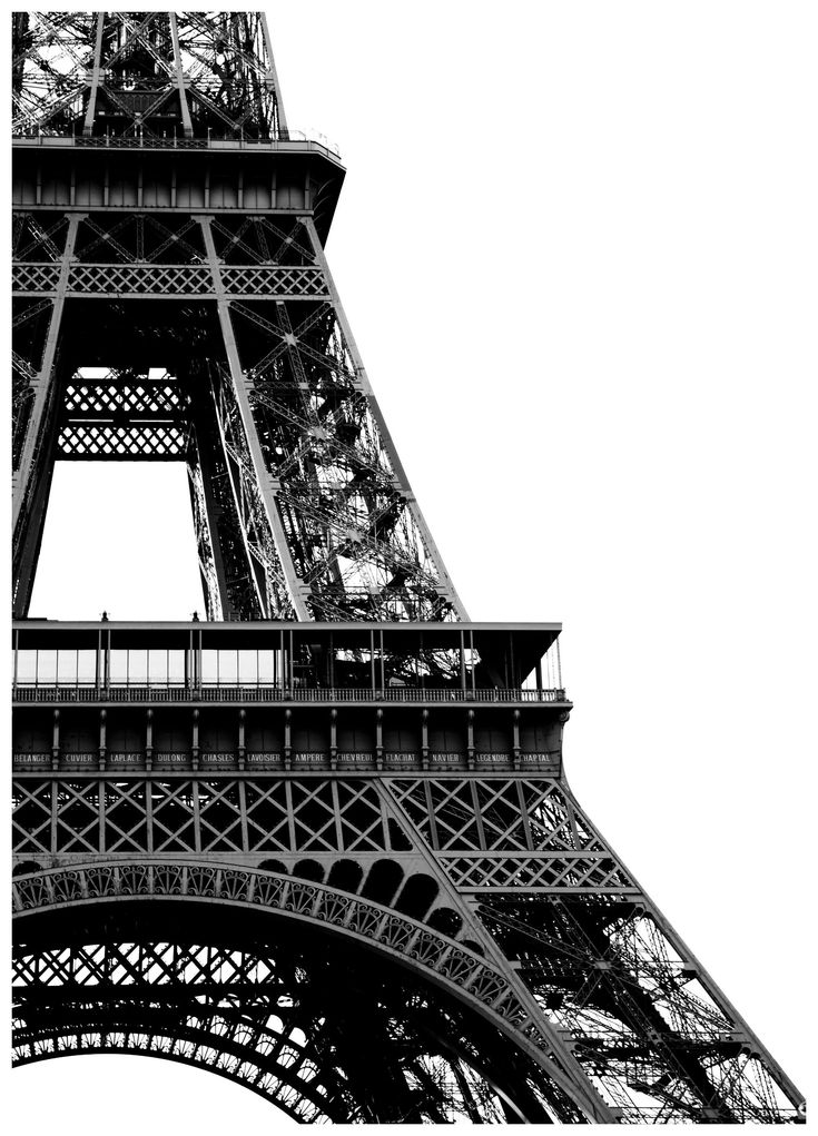 Parisian Lines